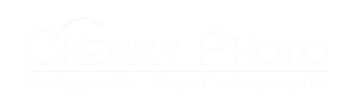 logo Paweł Wiśniewski